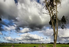 芝加哥外围模特资源