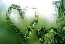 芝加哥援交女模特