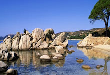 旧金山伴游大学生